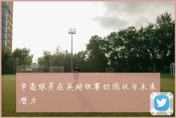 华裔球员在英超联赛的现状与未来潜力