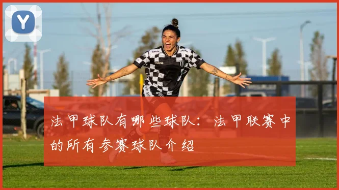 法甲球队有哪些球队：法甲联赛中的所有参赛球队介绍