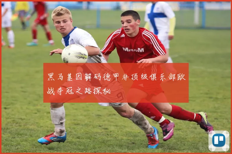 黑马基因解码德甲非顶级俱乐部欧战夺冠之路探秘